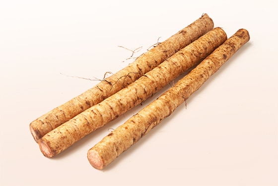 Burdock Root Benefits