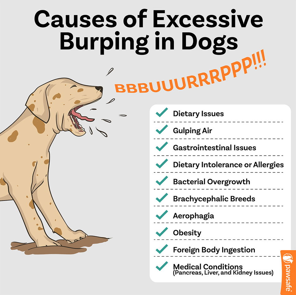 Relieving excessive burping techniques